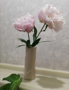 Screenshot_20220517_125637