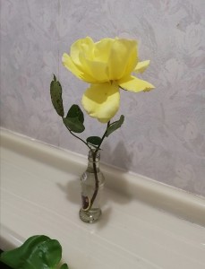 Screenshot_20220517_125715