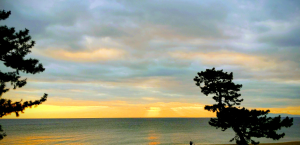 Screenshot_20241107-092827