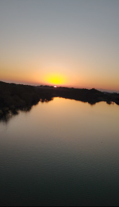 Screenshot_20241202-095840~2