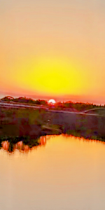 Screenshot_20241202-095840~6